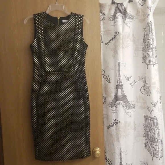 calvin klein gold and black dress Calvin Klein Women's Shift Dress W/Gold Hardware, Black, 2 at Amazon  Women's Clothing store